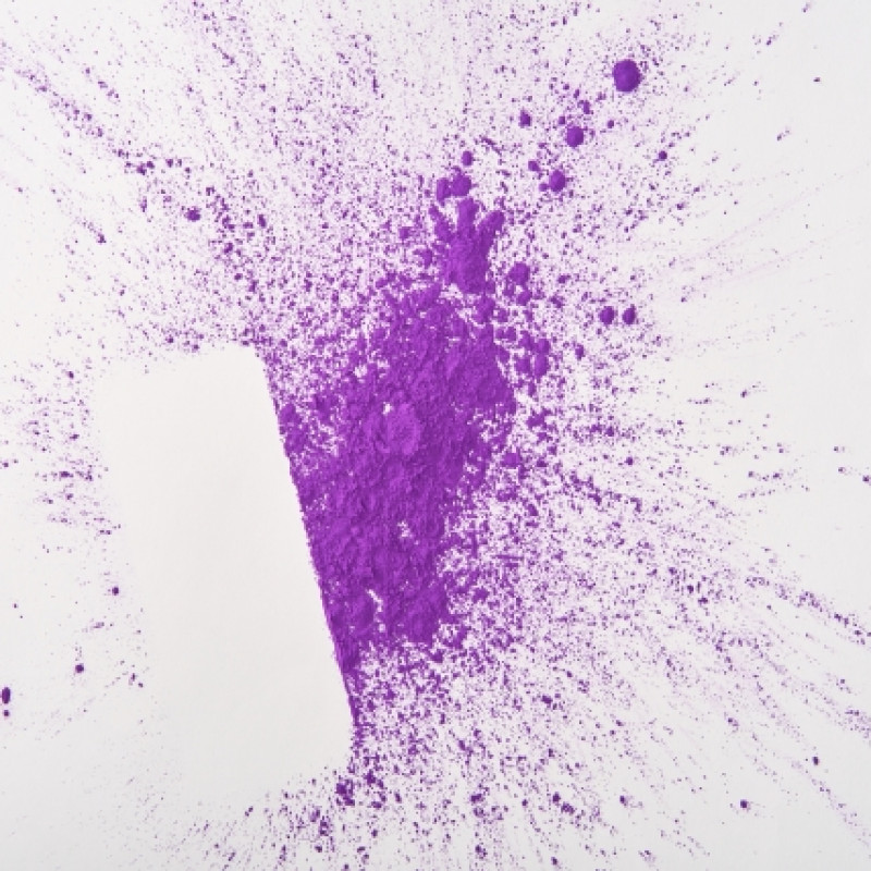 Pigment Purple