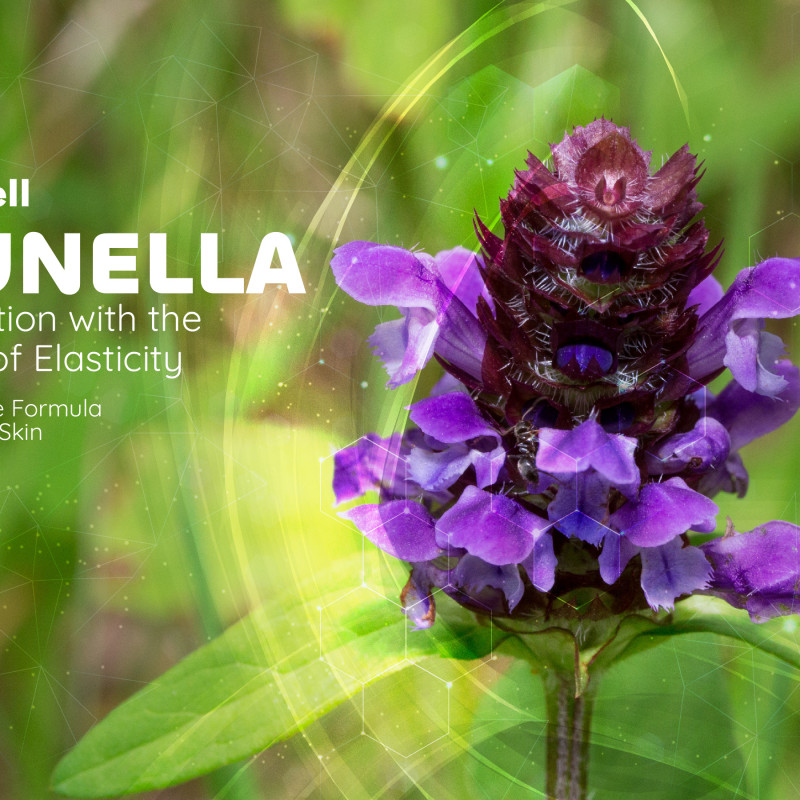 ProliCell Prunella