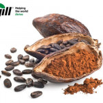 Alkalized Cocoa Powder