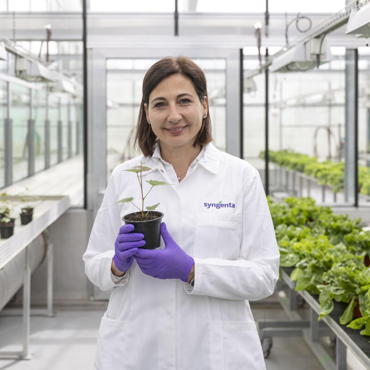 Syngenta Ar-Ge Başkanı Camilla Corsi’ye 2026 ACS Ödülü